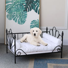 Load image into Gallery viewer, PetSmart Pet Dog Steel Bed P19-009LG
